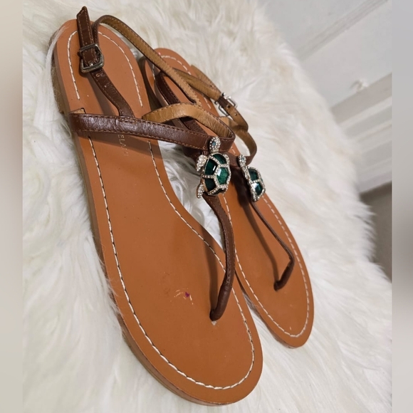 ANTONIO MELANI Tulias Flats with Beautiful Jeweled Turtles  Women's Size 8B🌴 - Picture 5 of 8